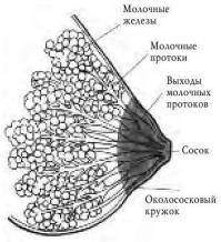 Для тех, кто в танке :)