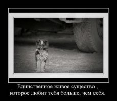 Дружба – это самое ценное что есть в жизни!