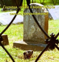 33 животных, попавших в ловушку 