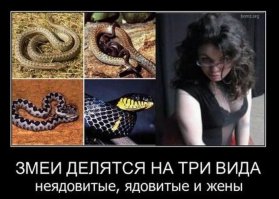10 красивейших змей планеты