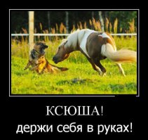 Пост любви к лошадям