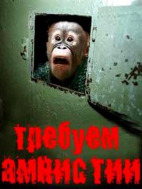 Макаки-вороваки и другие обезьяньи шалости 