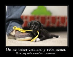 Памятник преданности