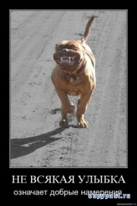 Улыбки, перед которыми невозможно устоять