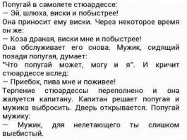 Смешные комментарии из социальных сетей 29.07.14