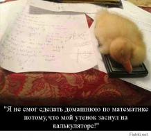 не СМОГ, то есть ты "мужик" и твое домашнее животное, утенок!???