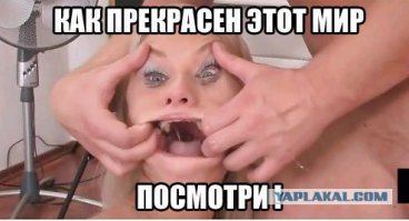 Прикольные картинки с надписями