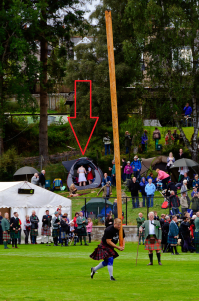 Юбка у шотладцев это просто нац. костюм. А лифчик?