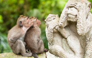 Говорите, говорите, как интересно!!!