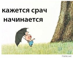 Купальники «Новороссия» и туалетную бумагу «Украина» продают в Интерне