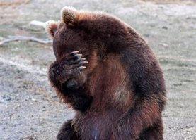 Пост действительно редких снимков
