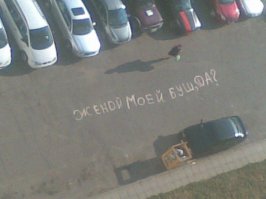 21 необычное предложение руки и сердца