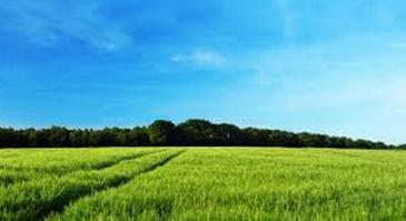 Вот тоже, кстати, 100% доказательство. Снимали под Луганском. Отчетливо видна колея от русского танка