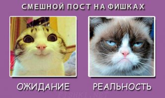 8 марта: ожидание и реальность