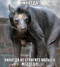 Теперь понятно откуда взялись персонажи многих фильмов ужасов и компьютерных игр.
