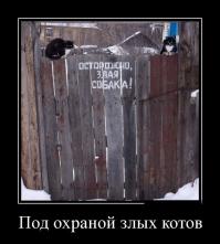 Из той-же серии