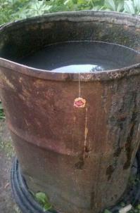 Так себе чаёк