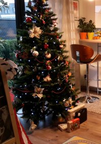 Уже поставил, только подарки из под неё убрали т.к. ночью кот их все открыл