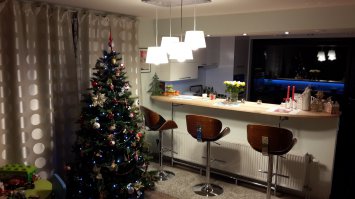 Моя Новогодняя елка