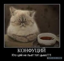 Поду чайку заварю по фенш×ую, вот рецепт: 
Берём отборный зелёный чай, щепотку жасмина, литр водки "никакой воды". Даем настояться и вуаля.