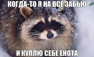 Енот-механик