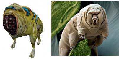 вот кого тихоходка напоминает)