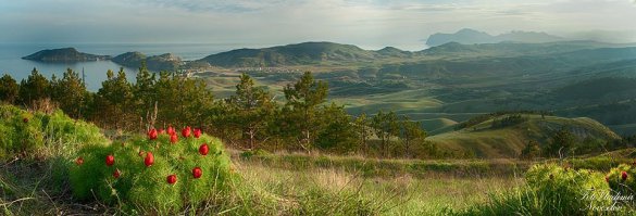 А это в нашей части России