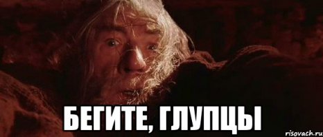 33 животных, попавших в ловушку 