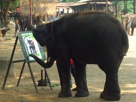 Не поверил бы, что это нарисовано слоном, если не увидел своими глазами.
Я так не смогу!