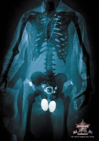 Стальные яйца