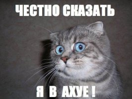 Можно ли мужчинам носить сандалии с носками?