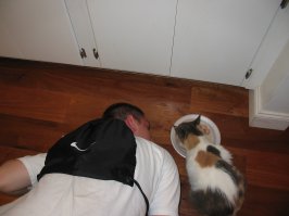 А вот мое дите.Вырасло,правда,уже.