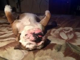 А это прошлым  летом)))