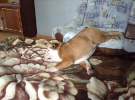 Моё чудо, снято осенью прошлого года)))