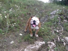 Конечно же да!