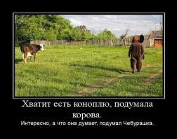 Фишкина солянка за 02.11.2014