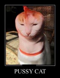 Смешные комментарии из социальных сетей 15.11.14