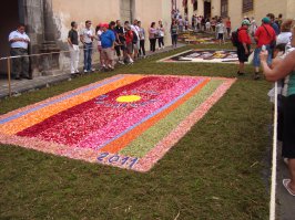 Ах, что-то потянуло на воспоминания. Выложу-ка я фотки с праздника цветов в Оротаве. Все картины сделаны из лепестков цветов. А на последней фотке - те самые девушки в кокошниках: