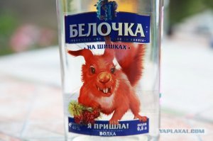 Стоит накапать два по пятьсот и не знаю, как людей, а белку найдёшь легко :)