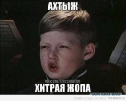 Кошачий домик с подогревом собственного изготовления