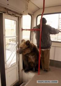 Тем временем в Тагильском трамвае!