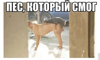 4 исторических мифа о сексе