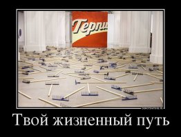 Я в шоке! Может надо зарплаты депутатам урезать, чтоб они меньше жрали?