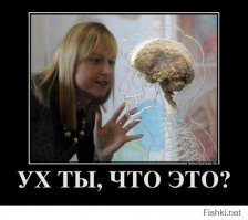 Они нашли мозги)))