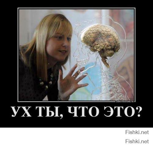 Они нашли мозги)))
