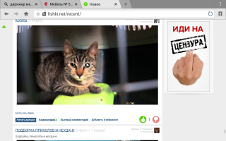 Блин, думал у него глаз такой.