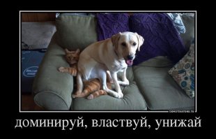 Циничное унижение крота
