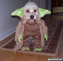  За кадром «Звездных войн»