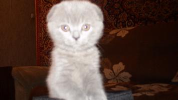 Мила, покорившая интернет своими глазами