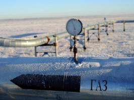 Украина-Ужгород, ценники и ДТ..